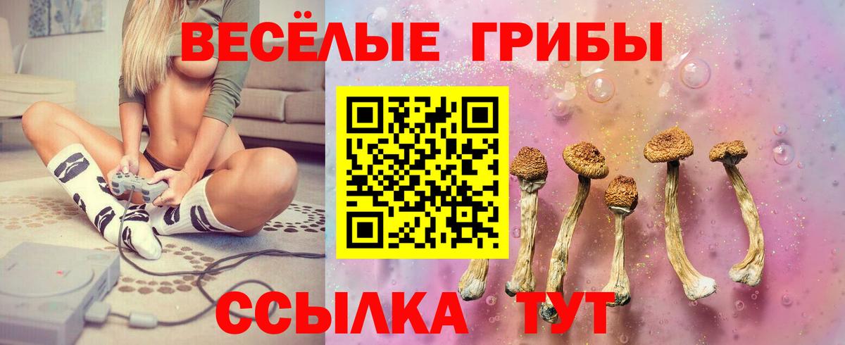 Лениногорск  Псилоцибиновые грибы Magic Shrooms  Вход с VPN 