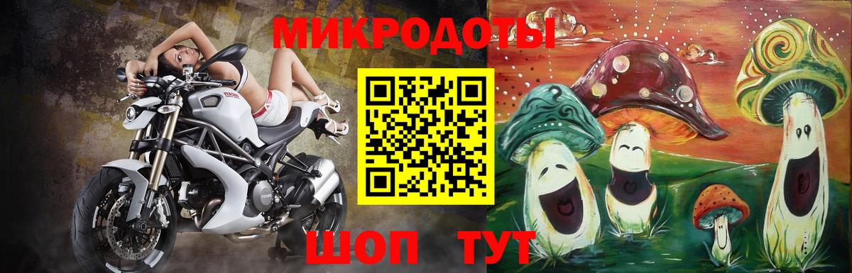 Галлюциногенные грибы Cubensis Лениногорск